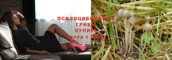 альфа пвп Нязепетровск