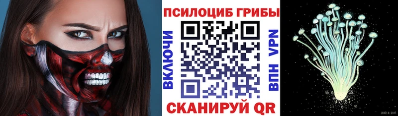 Псилоцибиновые грибы Psilocybine cubensis  Талдом 